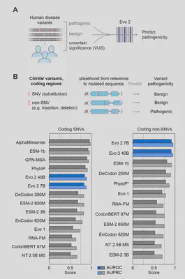 clinvar_coding_variants