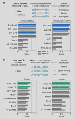 clinvar_noncoding_variants