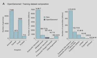 dataset