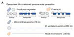 Evo 2: A Groundbreaking Biological Foundation Model