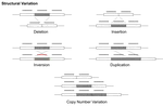 The Variant Calling Problem